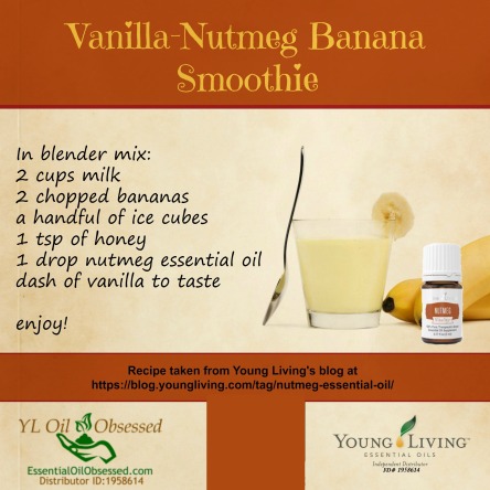 vanilla-nutmeg-banana-smoothie-2