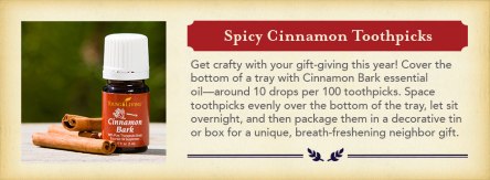 Spicy-Cinnamon-Toothpicks
