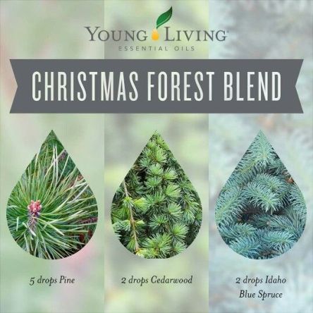 christmas forest blend